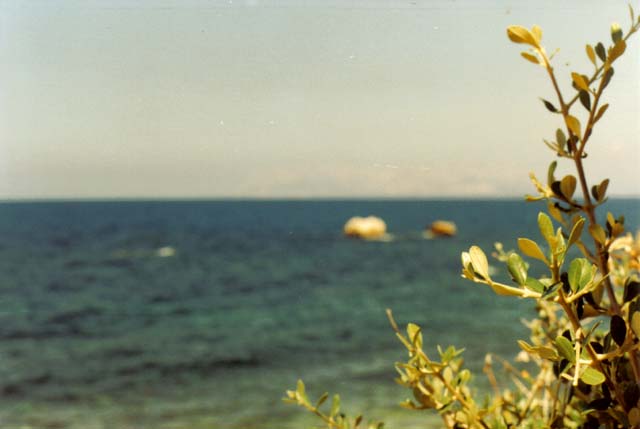 Pace sul mare