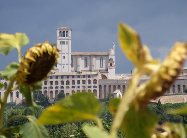 Assisi