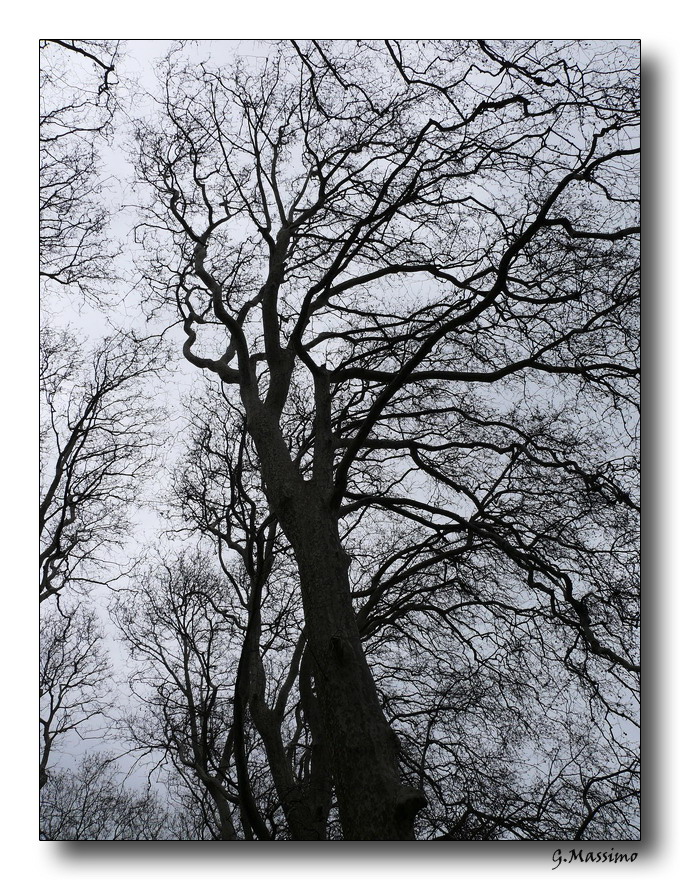 Natura
