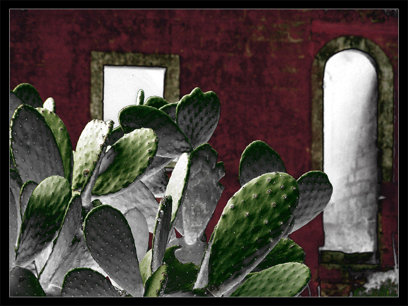 Tra Neutri e Colore
