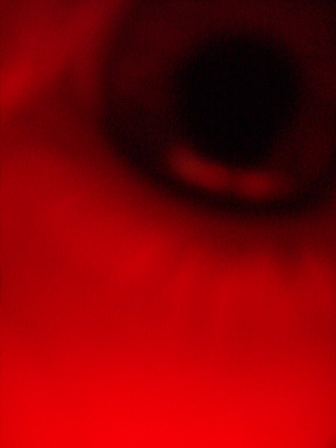 eye