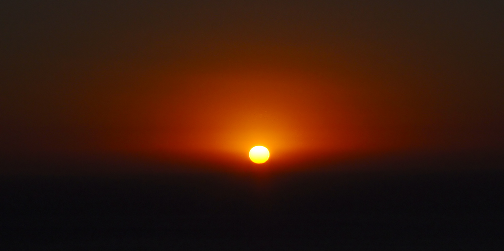 Sole