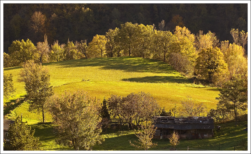 colori d'autunno