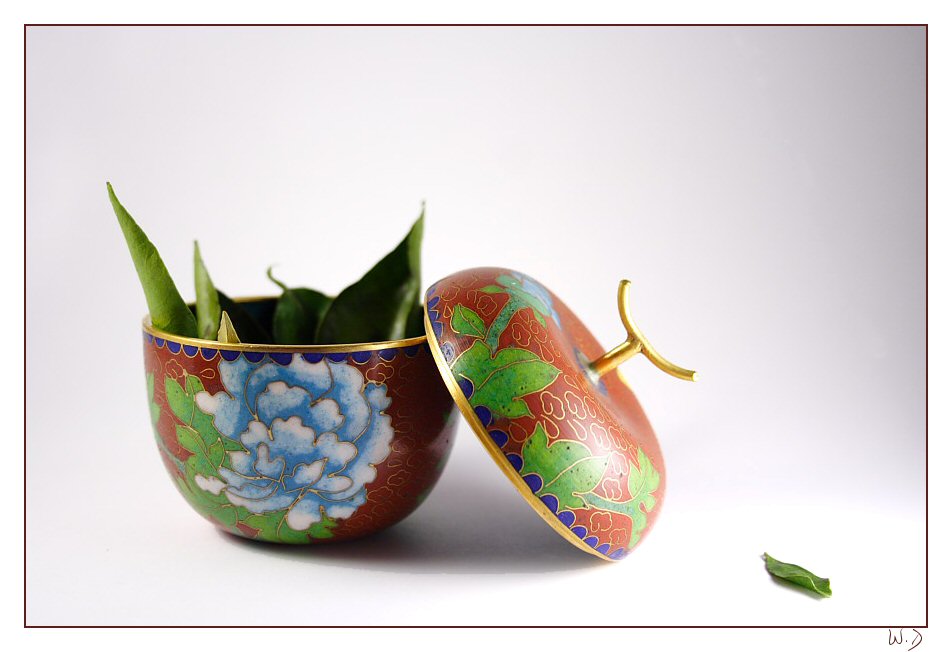 prova di Still life
