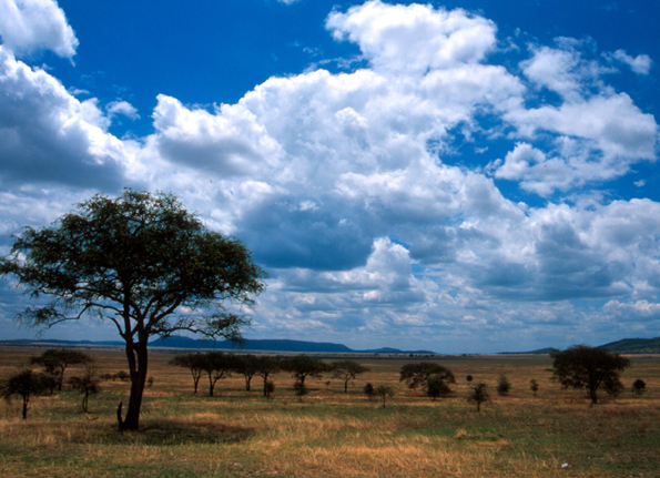 Serengeti, Tanzania