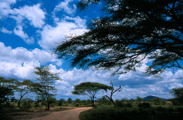 Serengeti, Tanzania