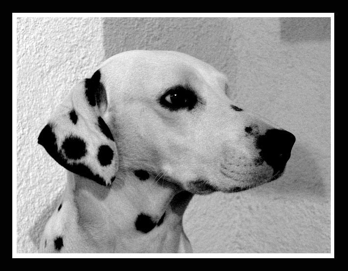 Peggy