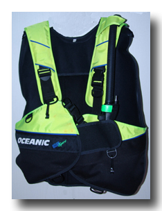 aaaa