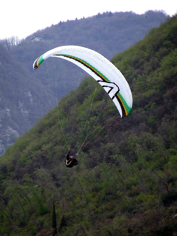 vela2