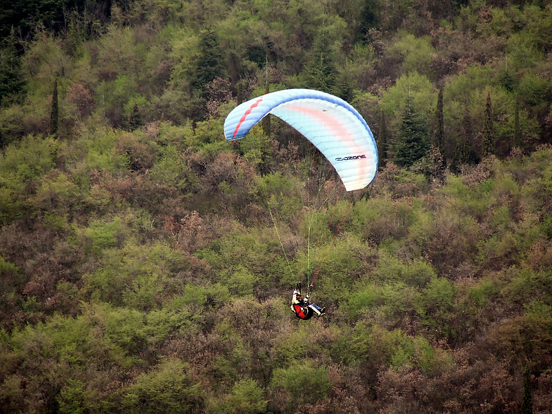 vela3