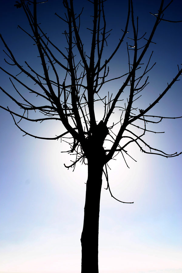 Controluce