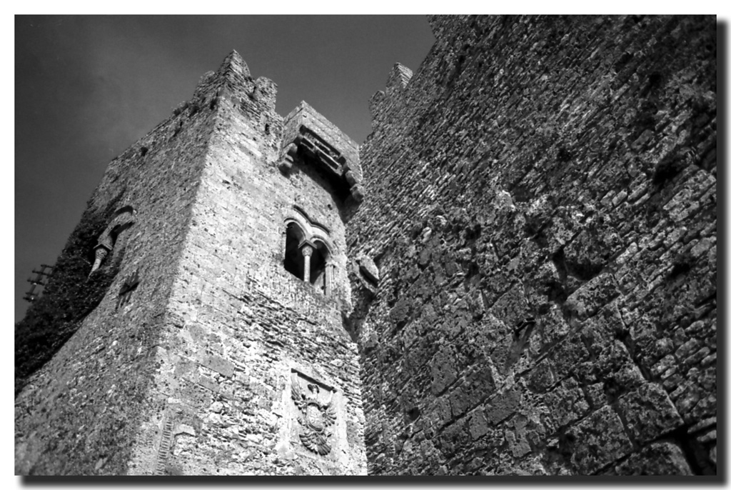 Erice BN II