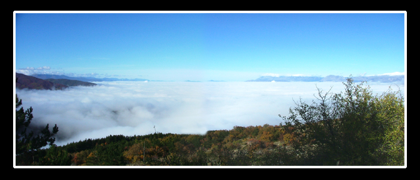 lago_nebbia