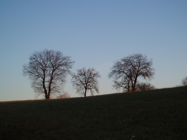 Paesaggio serale