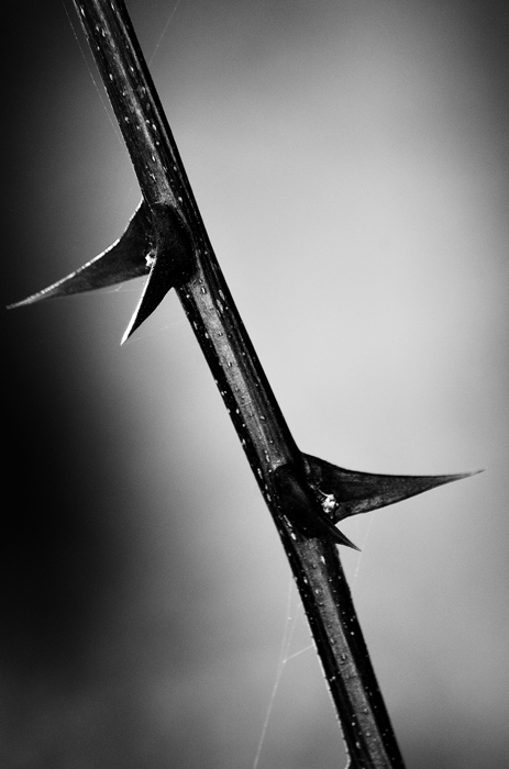 Espinas
