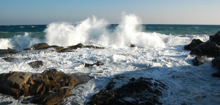 mare