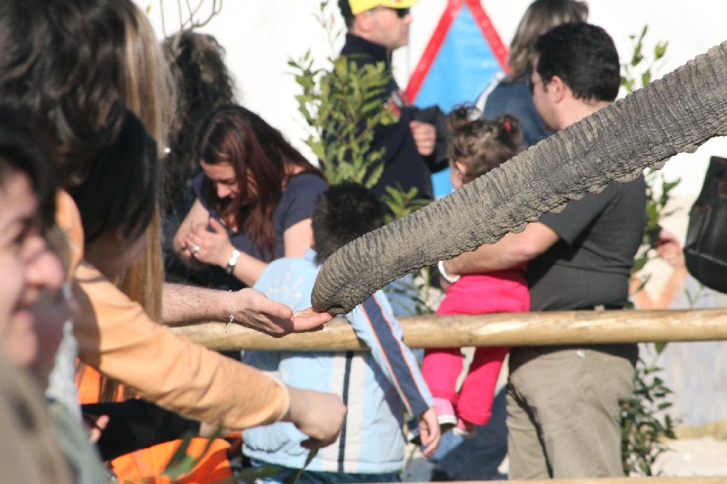 allo zoo