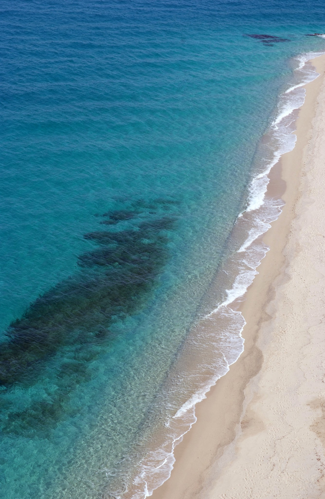 Tropea