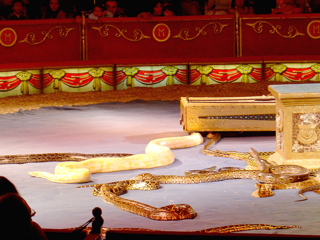 circo