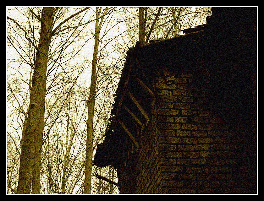 The Blair Witch Project 1