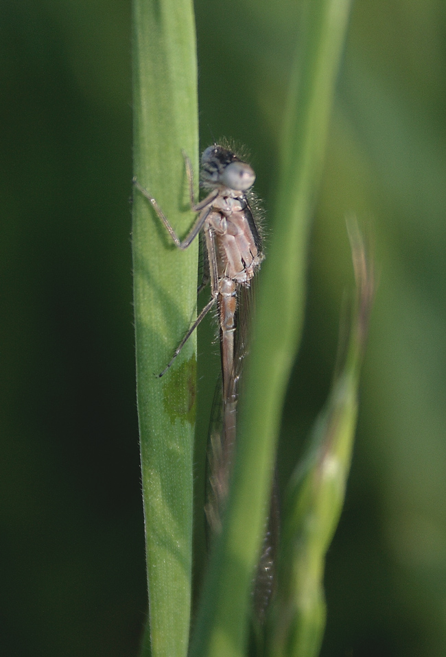 aggrappata!!!!