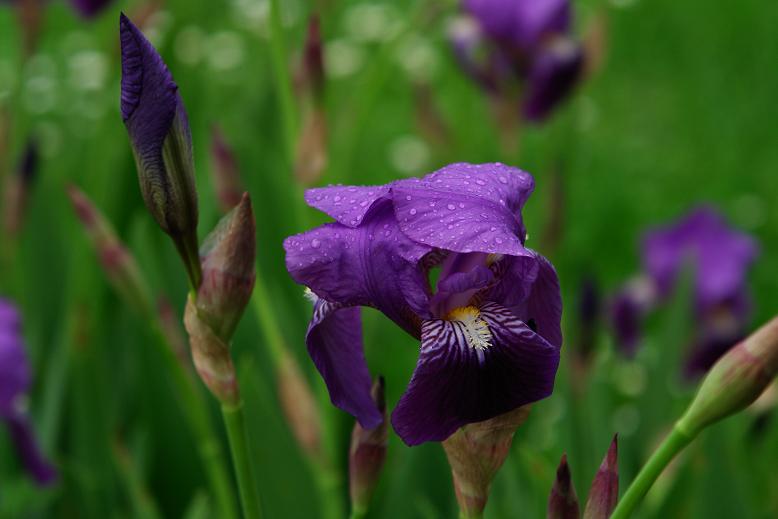 Macro#3