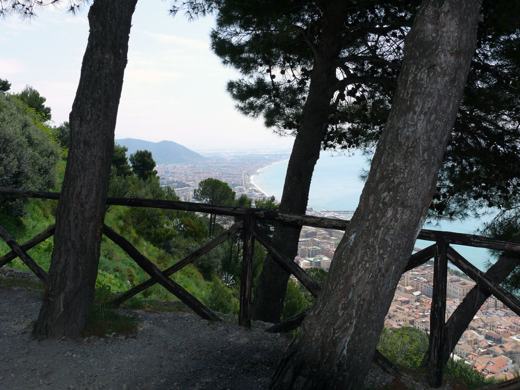 tre alberi e una citt
