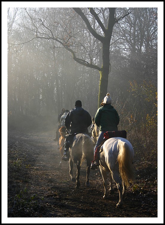 A cavallo