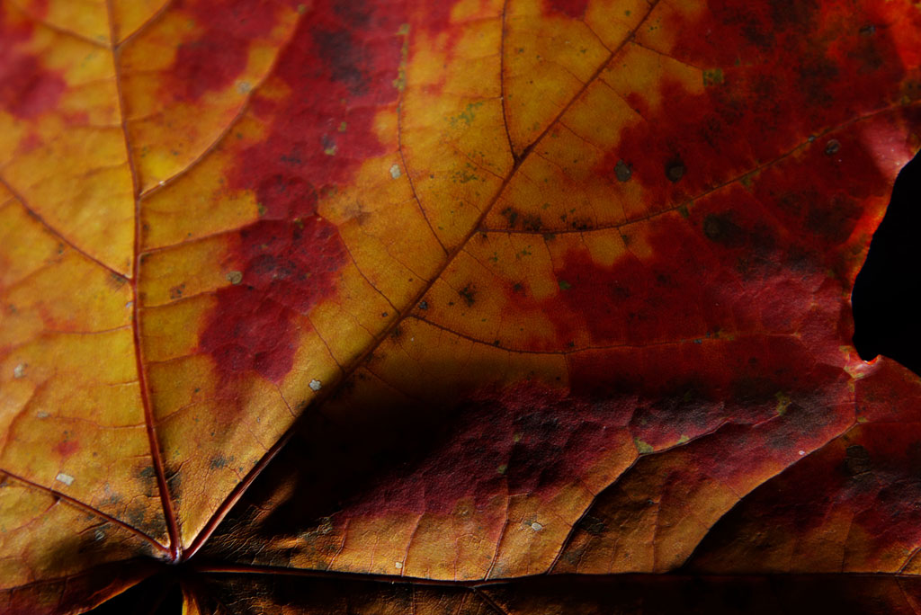 Autunno