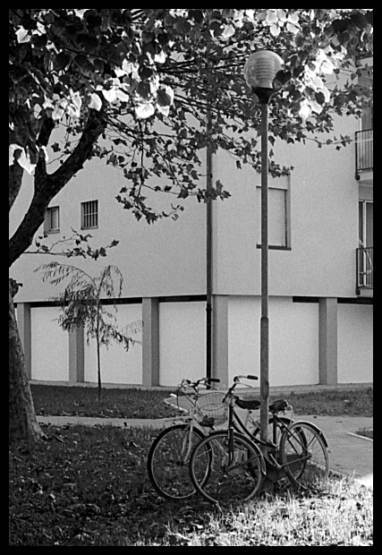 Sotto le fresche frasche