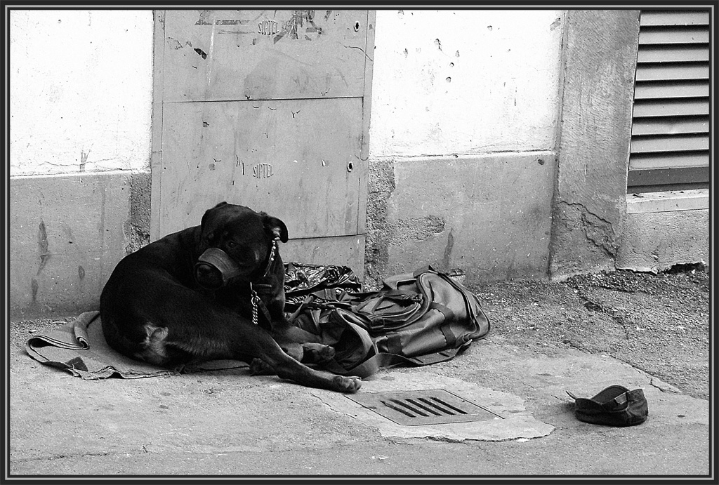Solitudine