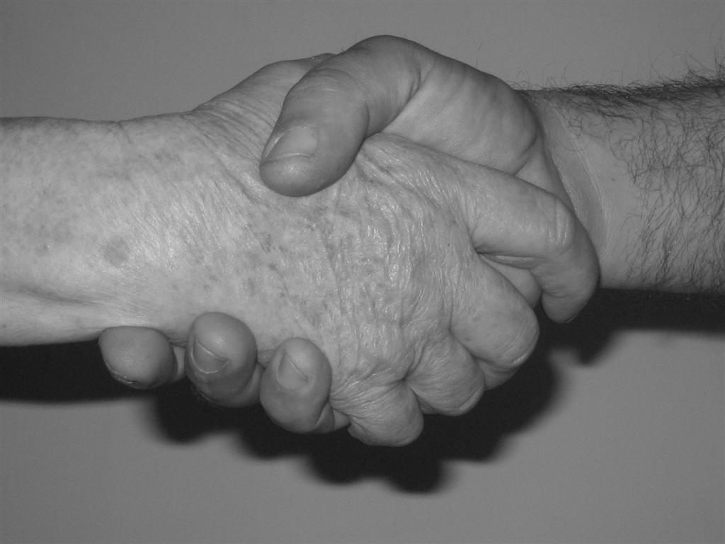 Solidariet