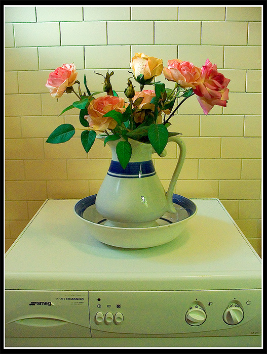 [ details] Washing Machine