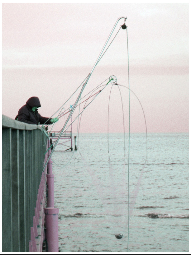 pesca