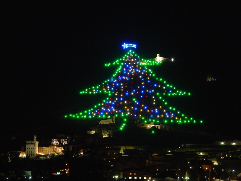 l'albero di natale pi grande