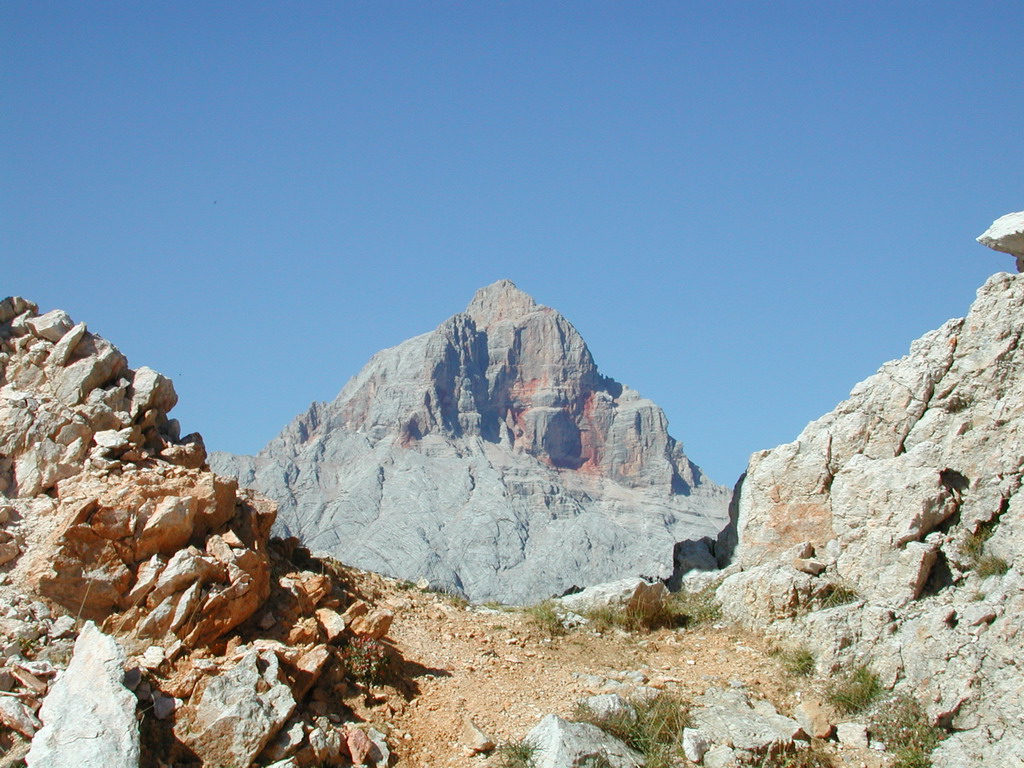 la scoperta