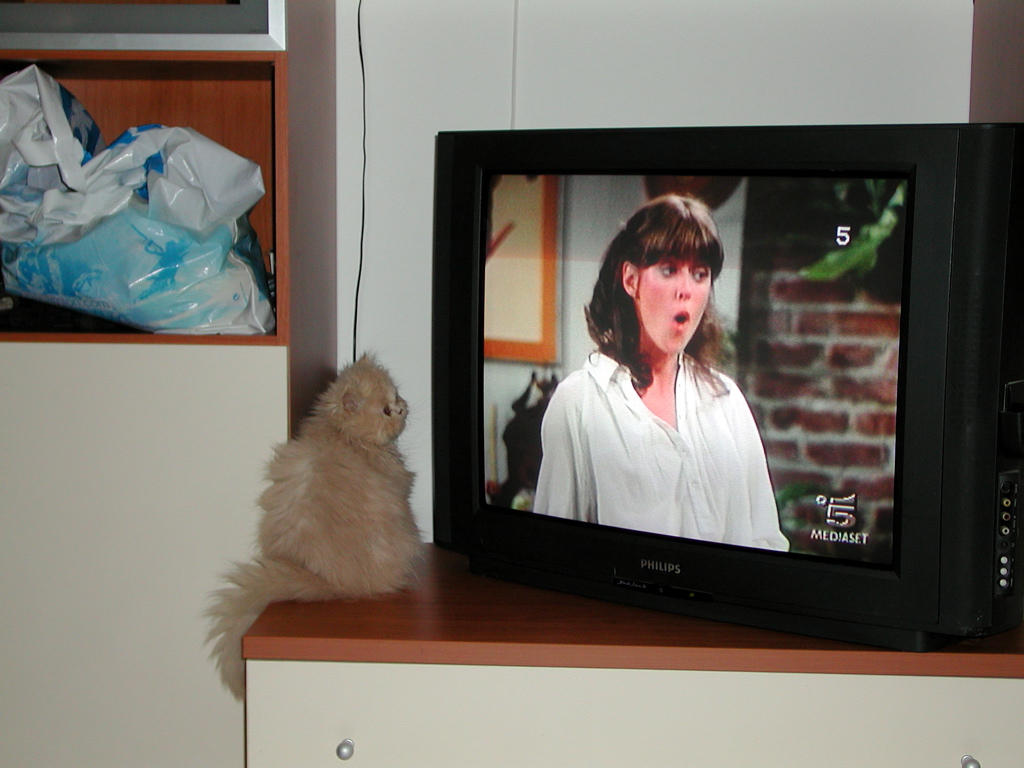 Ciao Mindy, dov' Mork?