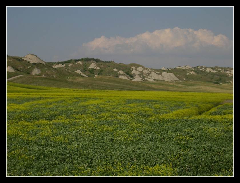 Terra aspra e forte
