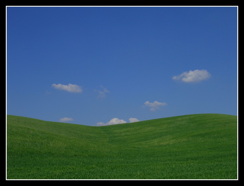 Il pascolo sospeso