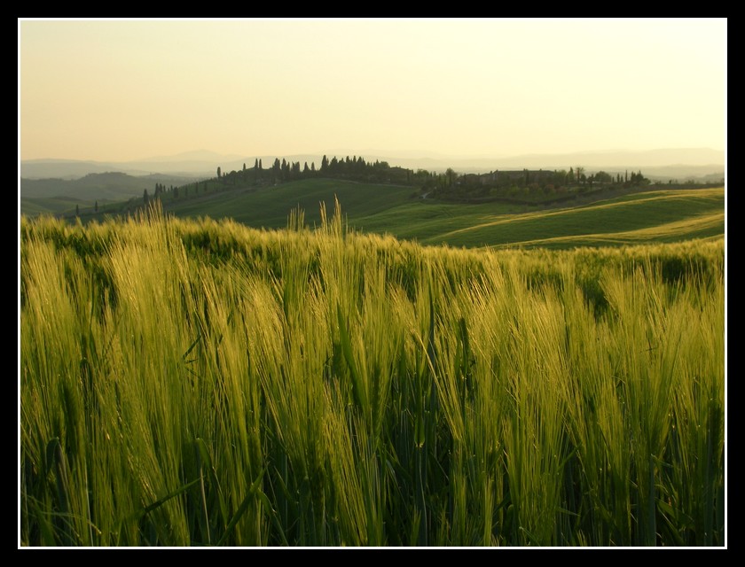 La tenuta