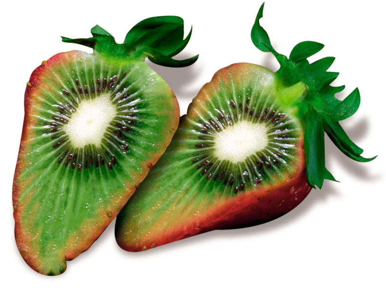 FruttaTransgenica