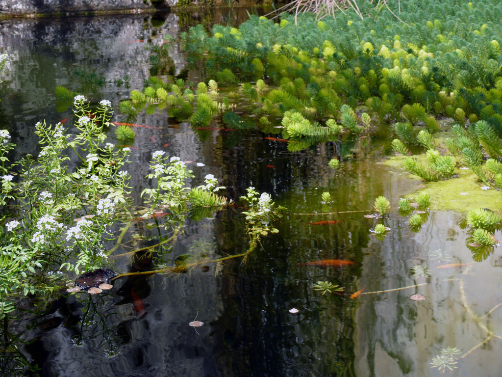 giardini della minerva 1