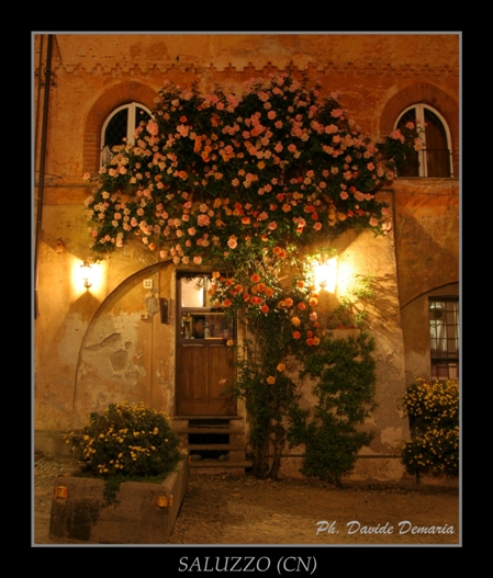 Roseto