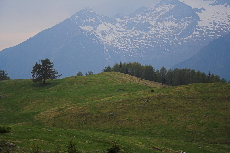 alpe Granda 01
