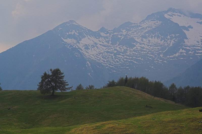 alpe Granda 03