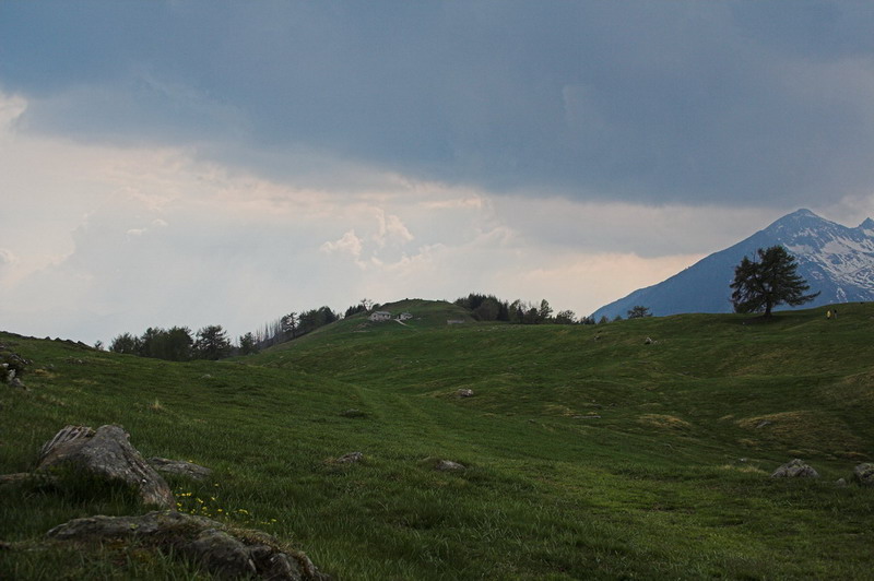 alpe Granda 04