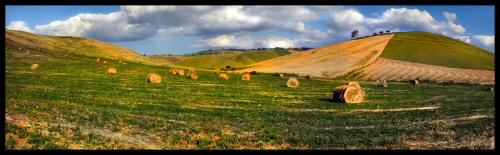 l'oro di sicilia