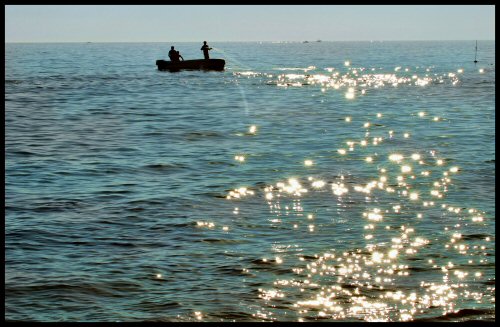 riflessi
