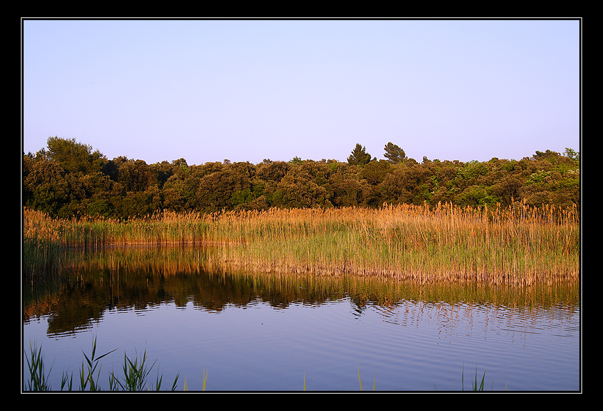scorcio sul lago