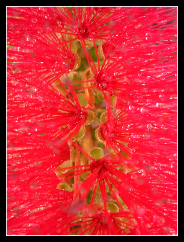 Esplosione